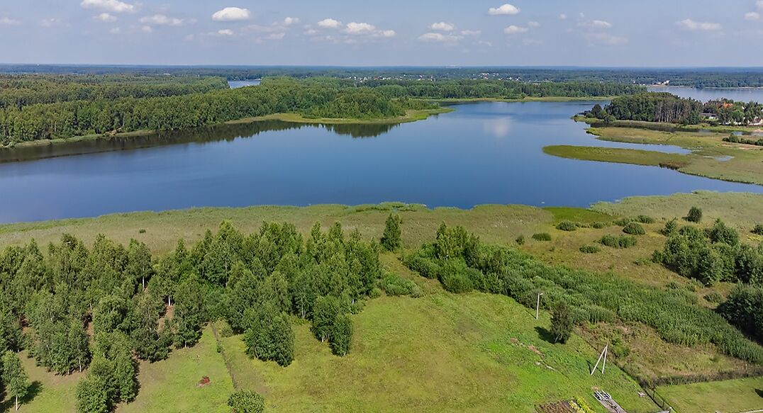 Никульское