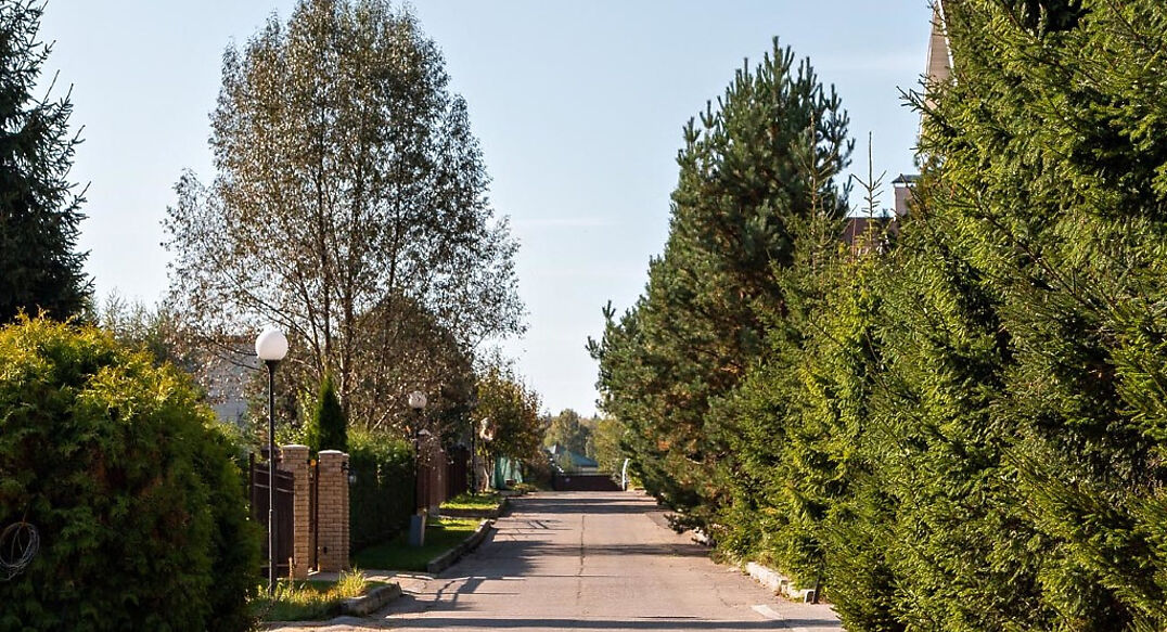 ТСН Успенское