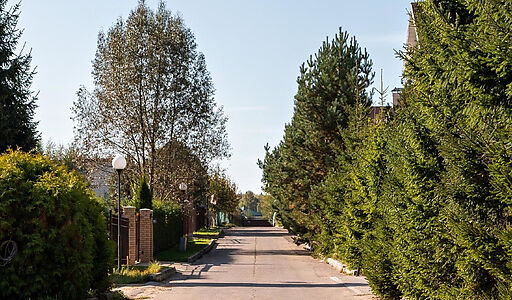 ТСН Успенское