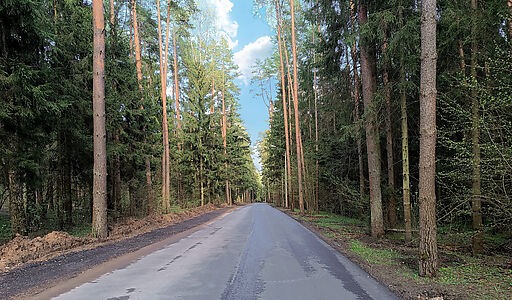 Дом под ключ с бассейном, Грибово