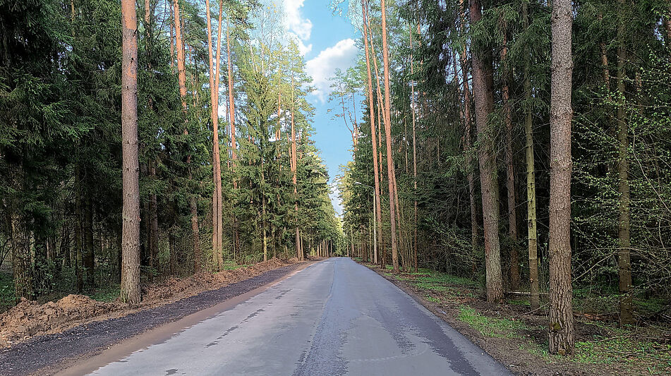 Дом под ключ с бассейном, Грибово