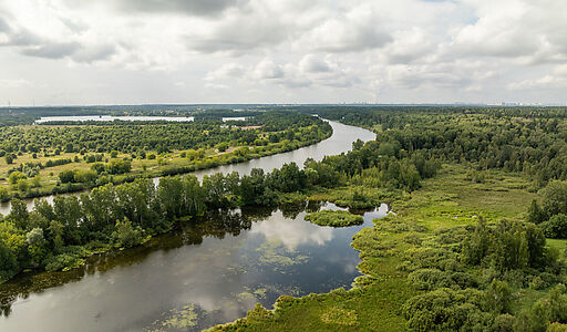 Участок без подряда в КП Аврора