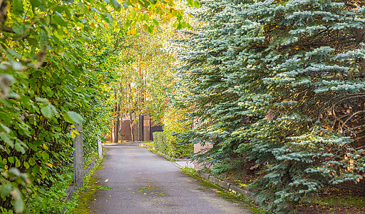 Дом в тихой части Аристово