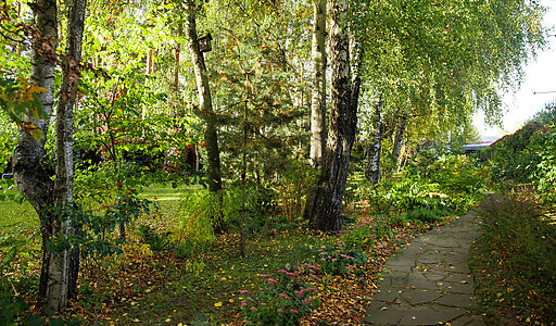 Дом в тихой части Аристово