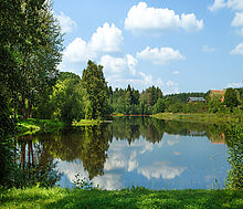 Дом у леса в поселке Риверсайд