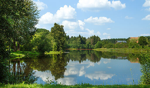 Дом у леса в поселке Риверсайд