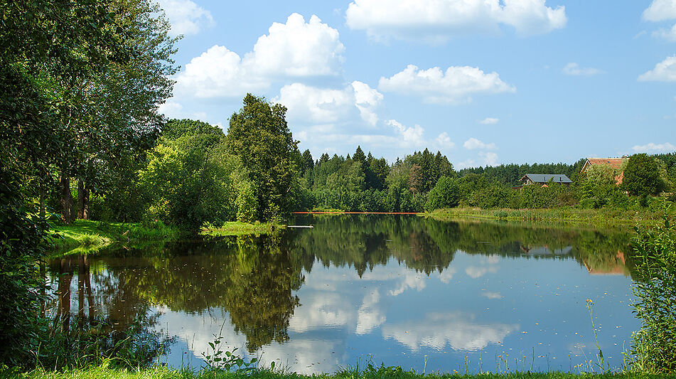 Дом у леса в поселке Риверсайд