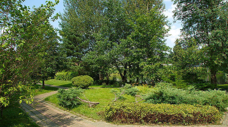 Дом у леса в поселке Риверсайд