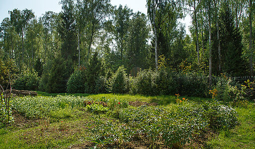 Дом у леса в поселке Риверсайд