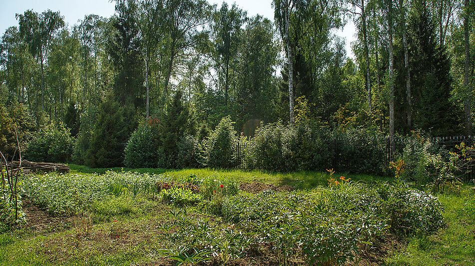 Дом у леса в поселке Риверсайд