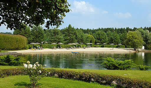 Дом мечты в КП Ренессанс парк