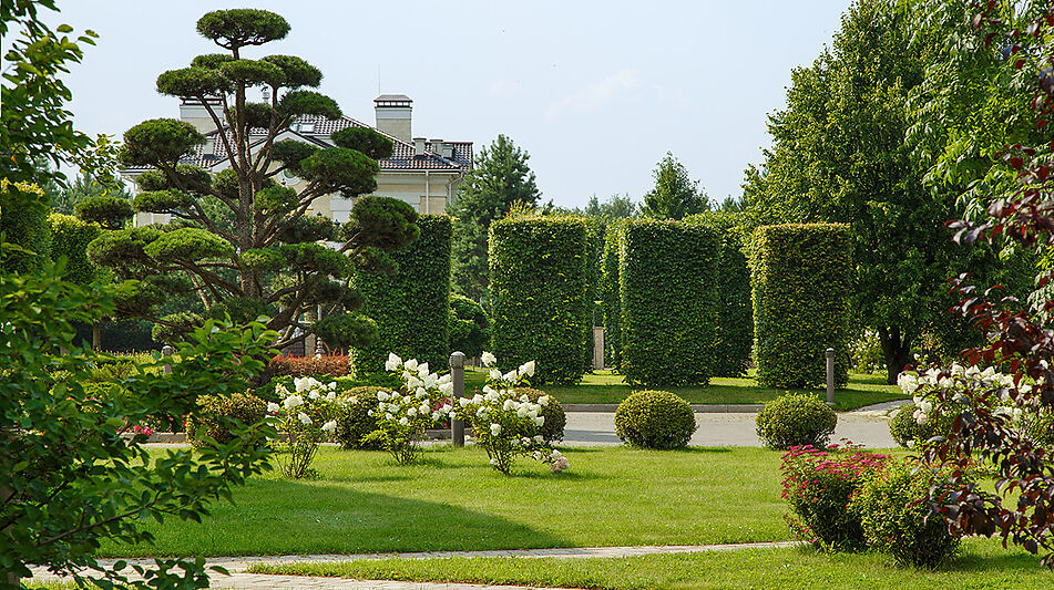 Дом мечты в КП Ренессанс парк