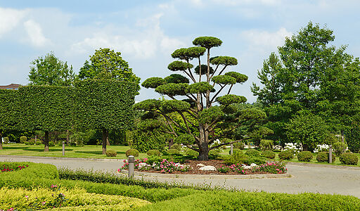 Дом мечты в КП Ренессанс парк