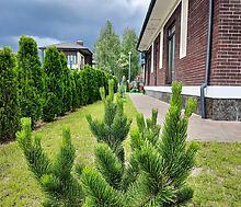 Готовый дом в КП Крекшино