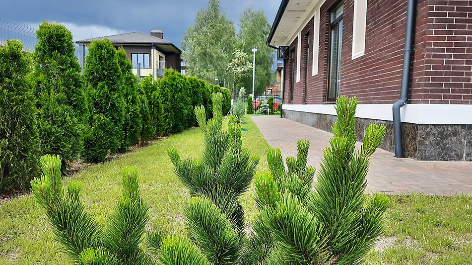 Готовый дом в КП Крекшино