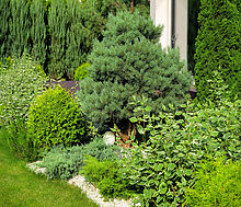 Стильный дом в КП Миллениум парк