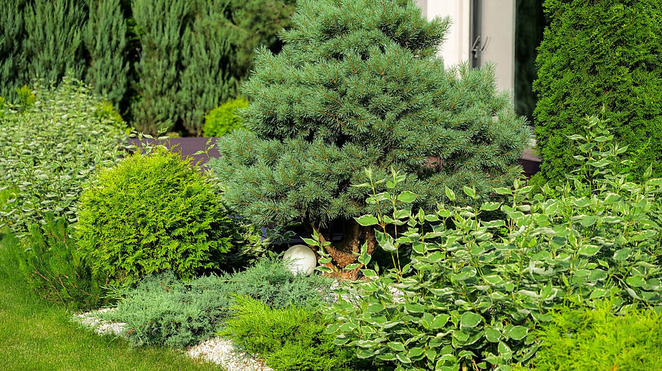 Стильный дом в КП Миллениум парк