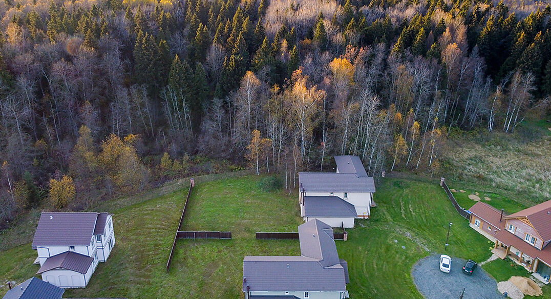 Американ Дрим