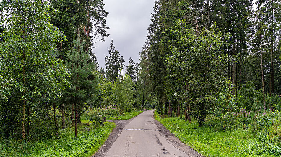 Дом у леса в послеке Ивановское