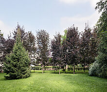 Дом у леса в КП 