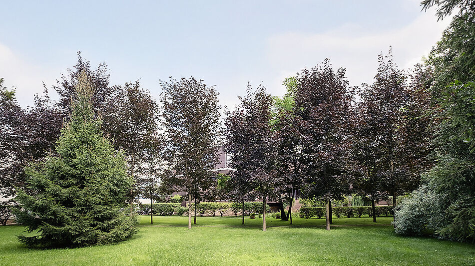 Дом у леса в КП 