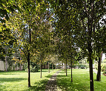 Дом у леса в КП 