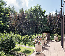 Дом у леса в КП 