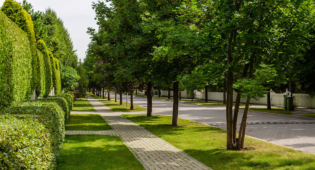 Резиденции Бенилюкс