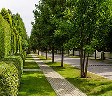 Резиденции Бенилюкс