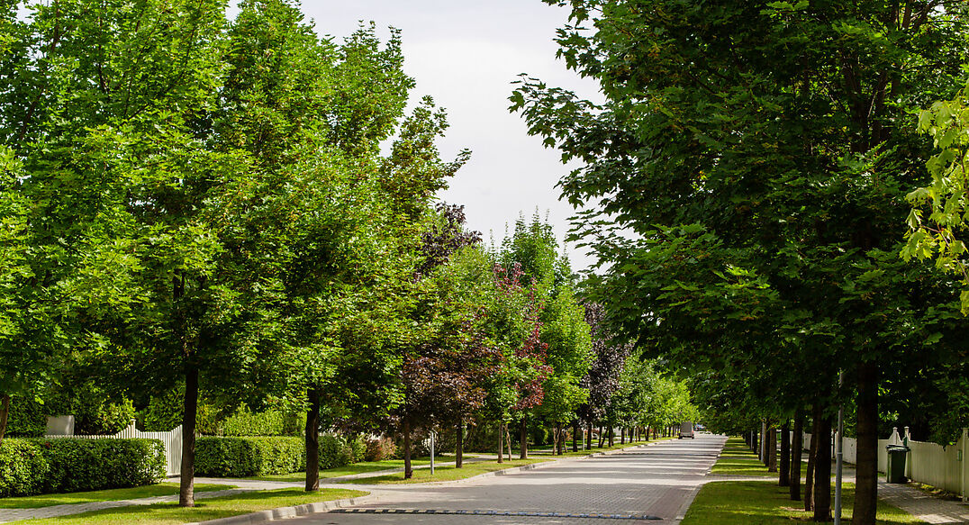 Резиденции Бенилюкс