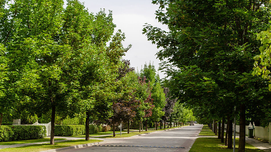 Участок в Резиденции Бенилюкс