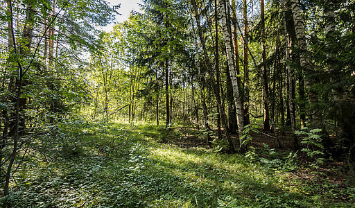 Участок в Резиденции Бенилюкс