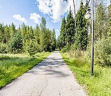 Дом под отделку в сосновом лесу