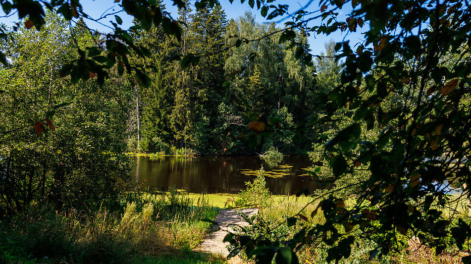 Дом с видом на воду в Славково