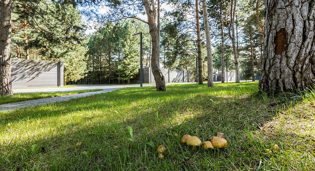 Никольский бульвар