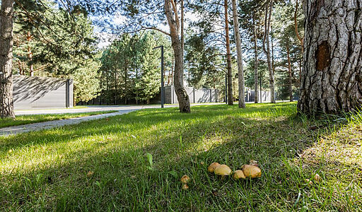 Никольский бульвар