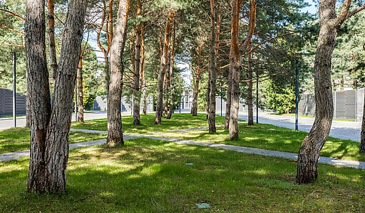 Никольский бульвар