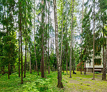 Готовый дом в КП Грибово