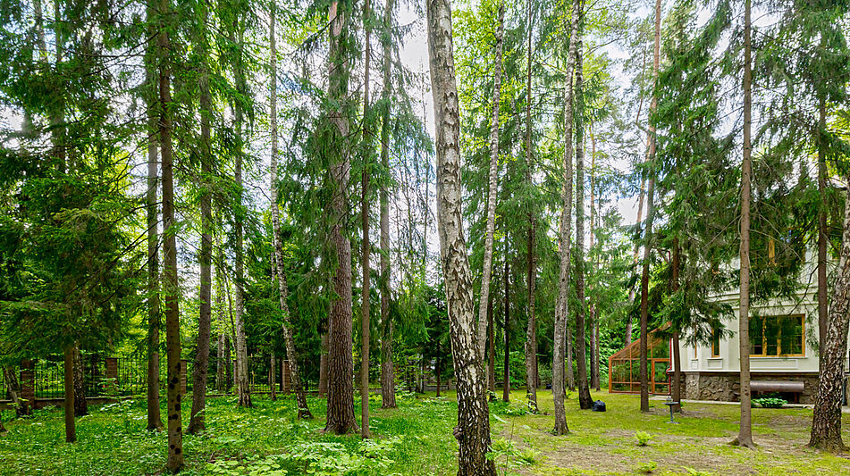 Готовый дом в КП Грибово