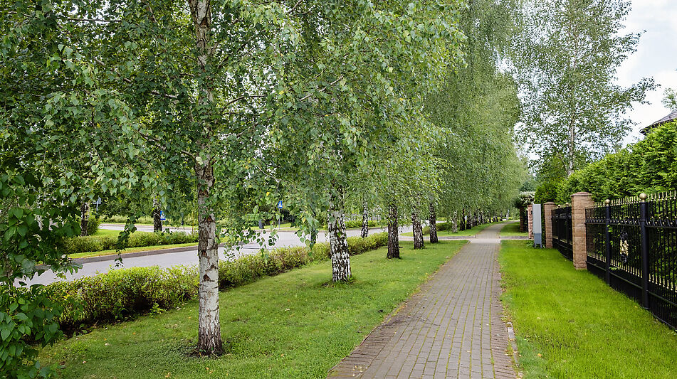 Новый дом у озера КП Гринфилд