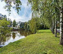 Никологорский (Коттон Вей)