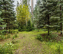 Английская классика у леса