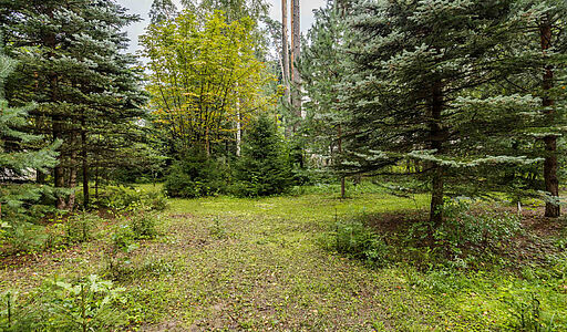 Английская классика у леса