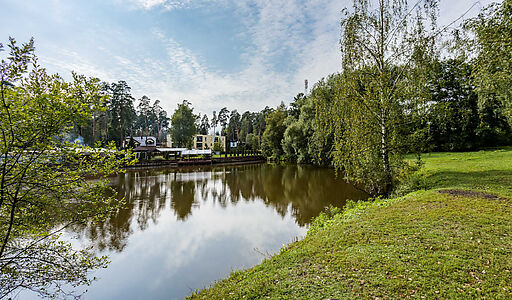 Английская классика у леса