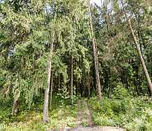 Дом под отделку на Новой Риге