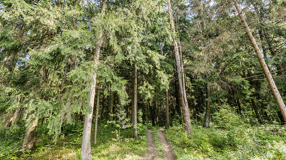 Дом под отделку на Новой Риге