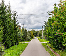 Деревня Долгиниха