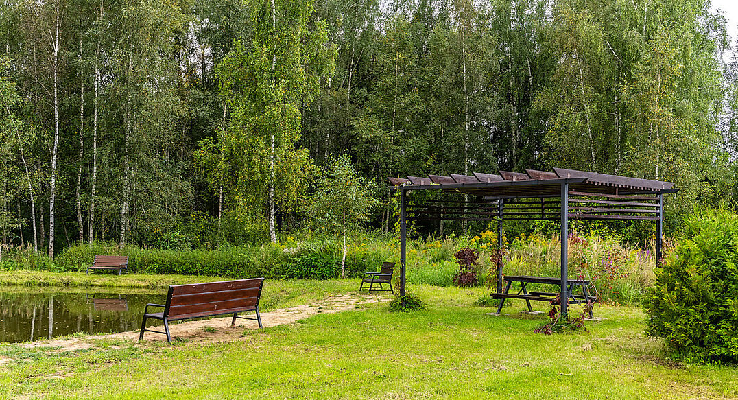 Деревня Долгиниха