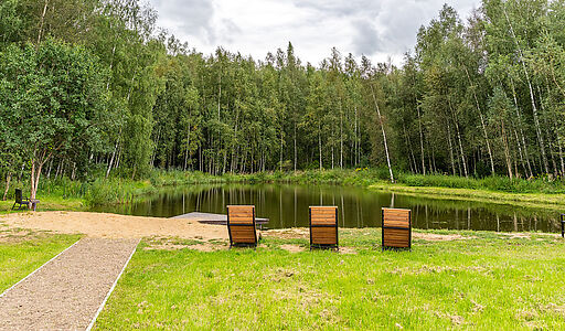 Деревня Долгиниха