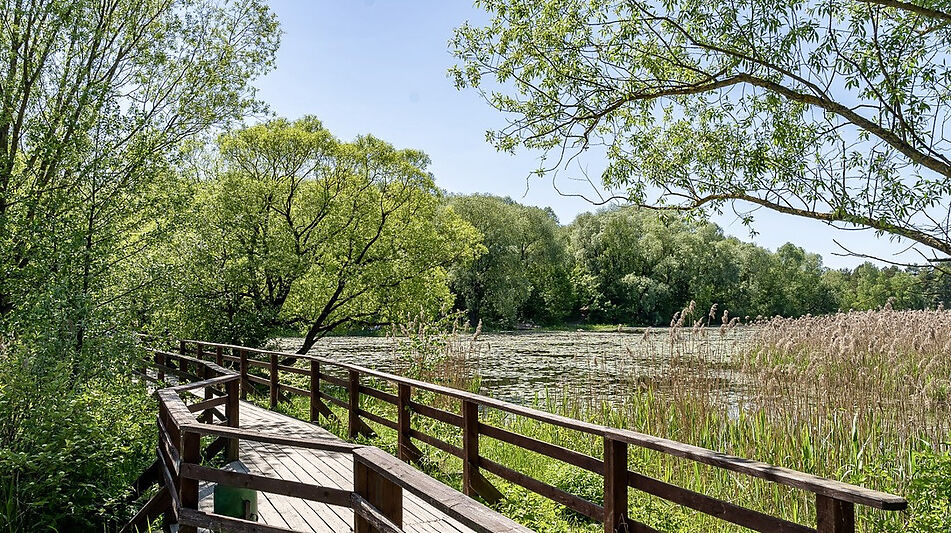 Апартаменты с выходом на патио